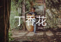 丁香花吉他谱,唐磊歌曲,G调简单指弹教学简谱,网络转载版六线谱图片