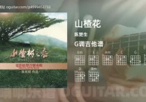 山楂花吉他谱,陈楚生歌曲,G调高清图,4张六线原版简谱