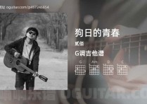 狗日的青春吉他谱,贰佰歌曲,G调指弹简谱,4张教学六线谱