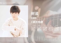 树读吉他谱,王俊凯歌曲,C调指弹简谱,3张教学六线谱