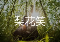 梨花笑吉他谱,浙音4811歌曲,C调简单指弹教学简谱,浪淘沙版六线谱图片