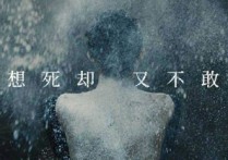 把孤独当做晚餐吉他谱,原版井胧歌曲,简单C调指弹曲谱,高清六线乐谱教学