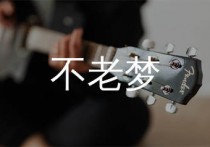 不老梦吉他谱,银临歌曲,C调简单指弹教学简谱,一颗加菲版六线谱图片