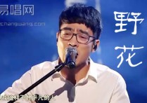 野花吉他谱,田震刘君利歌曲,简单指弹教学简谱,西二吉他六线谱图片