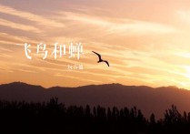 飞鸟和蝉吉他谱,原版任然歌曲,简单C调指弹视频教学,附高清六线乐谱