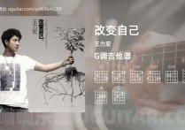 改变自己吉他谱,王力宏歌曲,G调指弹简谱,3张教学六线谱