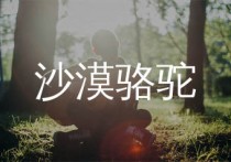 沙漠骆驼吉他谱,展展与罗罗歌曲,C调简单指弹教学简谱,果木音乐版六线谱图片