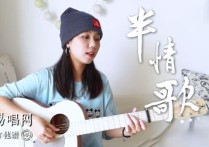 元若蓝《半情歌》吉他,陈静楠方文歌曲,G调简单指弹教学简谱,岛屿吉他六线谱图片