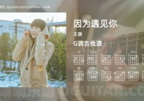 因为遇见你吉他谱,王源歌曲,G调高清图,5张六线原版简谱