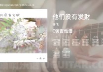 他们没有发财吉他谱,许飞歌曲,C调指弹简谱,3张教学六线谱