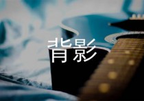 背影吉他谱,赵雷歌曲,D调简单指弹教学简谱,革命吉他版六线谱图片