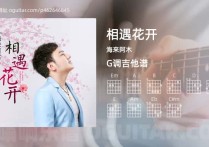 相遇花开吉他谱,海来阿木歌曲,G调高清图,3张六线原版简谱