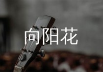 向阳花吉他谱,汪峰歌曲,A调简单指弹教学简谱,网络转载版六线谱图片