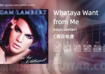 Whataya Want from Me吉他谱,Adam Lambert歌曲,C调高清图,6张六线原版简谱