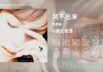 哭不出来吉他谱,张惠妹歌曲,G调指弹简谱,3张教学六线谱