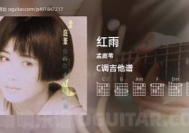 红雨吉他谱,孟庭苇歌曲,C调高清图,5张六线原版简谱