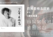 扔掉吉他去找她吉他谱,许飞歌曲,C调高清图,4张六线原版简谱