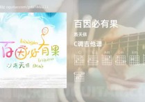 百因必有果吉他谱,洛天依歌曲,C调高清图,3张六线原版简谱