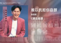 难以抗拒你容颜吉他谱,张信哲歌曲,C调高清图,4张六线原版简谱