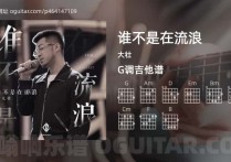 谁不是在流浪吉他谱,大壮歌曲,G调指弹简谱,4张教学六线谱