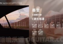 善变吉他谱,王靖雯不胖歌曲,C调指弹简谱,4张教学六线谱