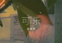 可乐吉他谱,赵紫骅歌曲,G调简单指弹教学简谱,捷诚吉他教室版六线谱图片