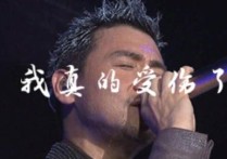 张学友我真的受伤了吉他谱,简单原版弹唱曲谱,张学友高清六线谱附歌词