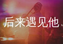 后来遇见他吉他谱,胡66歌曲,C调简单指弹教学简谱,无限延音版六线谱图片