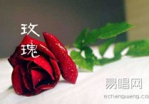 贰佰玫瑰吉他谱,简单三张原版指弹曲谱,贰佰高清六线乐谱