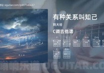 有种关系叫知己吉他谱,刘大壮歌曲,C调指弹简谱,4张教学六线谱