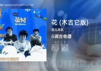 花吉他谱,花儿乐队歌曲,G调指弹简谱,4张教学六线谱【木吉它版】