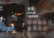 逆流吉他谱,理想后花园歌曲,C调高清图,5张六线原版简谱