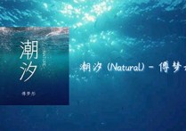 潮汐吉他谱,原版傅梦彤歌曲,简单指弹曲谱,高清六线乐谱