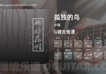 孤独的鸟吉他谱,小闯歌曲,G调高清图,6张六线原版简谱