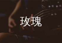 玫瑰吉他谱,贰佰歌曲,G调简单指弹教学简谱,唯音悦版六线谱图片