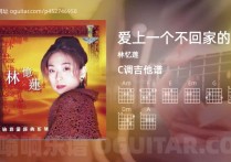 爱上一个不回家的人吉他谱,林忆莲歌曲,C调高清图,5张六线原版简谱