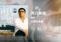 两只蝴蝶吉他谱,庞龙歌曲,G调高清图,5张六线原版简谱