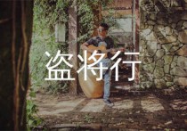 盗将行吉他谱,花粥歌曲,C调简单指弹教学简谱,齐歌吉他版六线谱图片