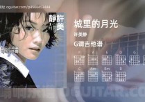 城里的月光吉他谱,许美静歌曲,G调指弹简谱,5张教学六线谱