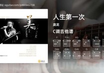 人生第一次吉他谱,庞龙歌曲,C调高清图,5张六线原版简谱