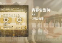 青春告别诗吉他谱,庞龙歌曲,C调高清图,4张六线原版简谱