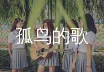 孤鸟的歌吉他谱,马頔歌曲,E调简单指弹教学简谱,网络转载版六线谱图片