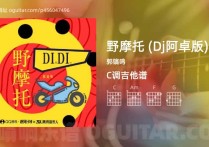 野摩托 (Dj阿卓版)吉他谱,郭镐鸣歌曲,C调高清图,5张六线原版简谱